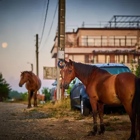 Velekasunrise Апартаменты