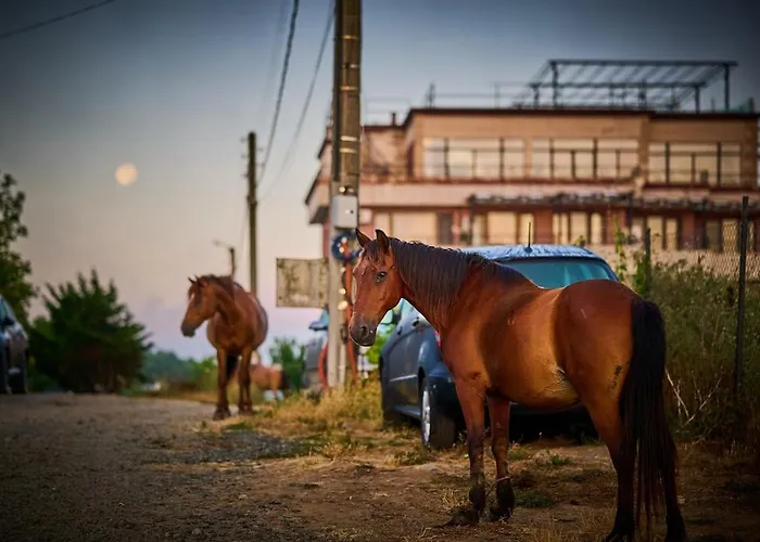 Velekasunrise Appartement